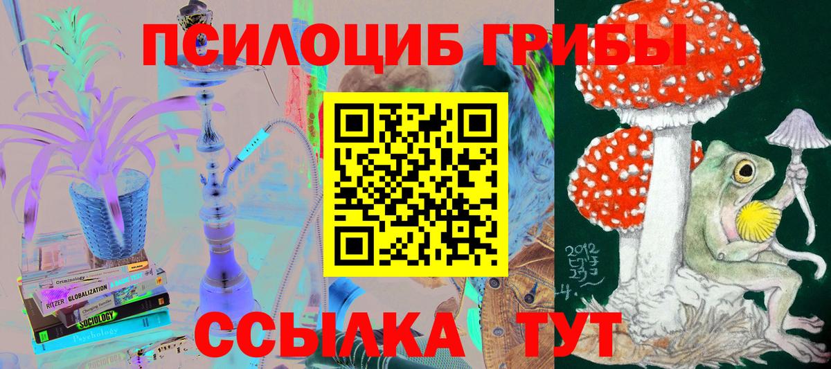 Галлюциногенные грибы Cubensis  Галлюциногенные грибы ЛСД  Вход с VPN  Жигулёвск 