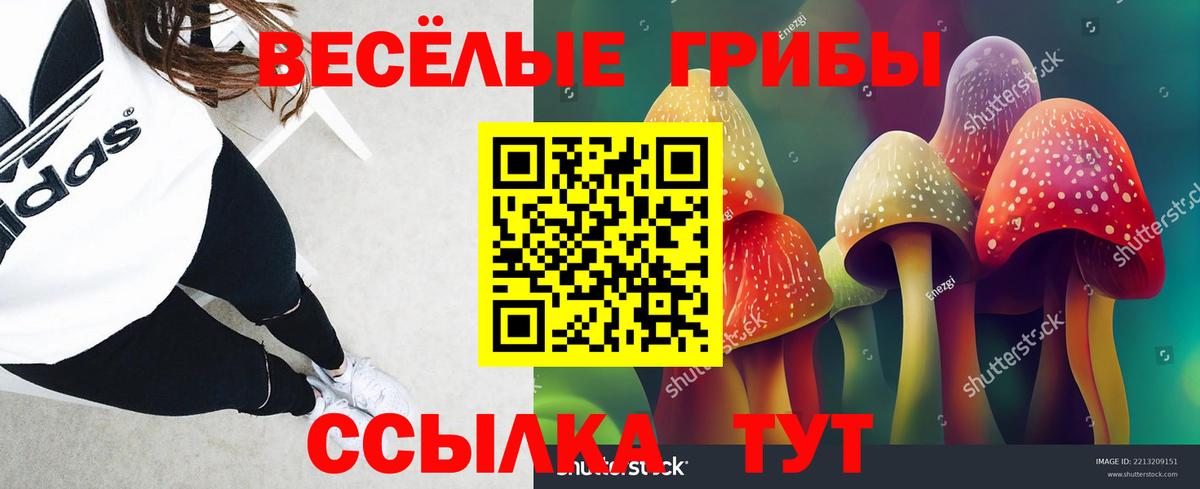 Псилоцибиновые грибы Psilocybe Жигулёвск